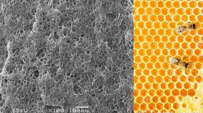 epp發泡聚丙烯的顯微結構，可以看到這是種連續閉孔結構，類似于蜂窩